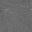 Monza Coal 12 x 24 Matte