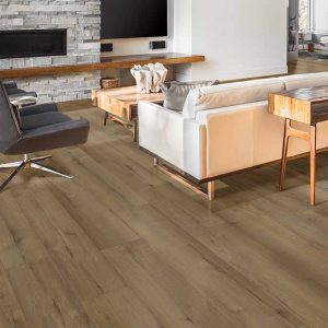 Audacity Heritage Granville